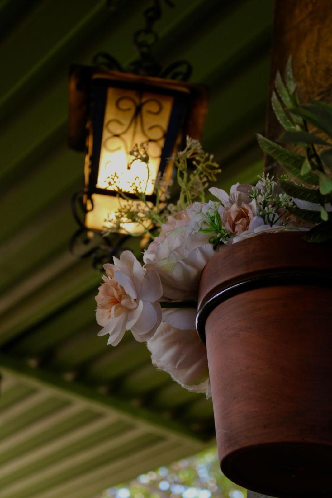 Velvet Hostal La Novena Santa Ana Exterior photo